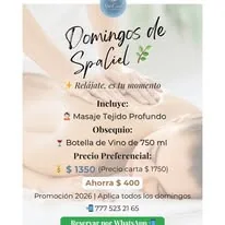 Domingos de SpaCiel